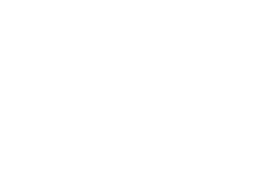 Burnett's Butcher Shop